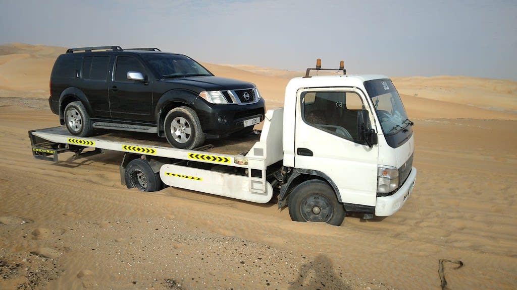 ALI (recovery service )