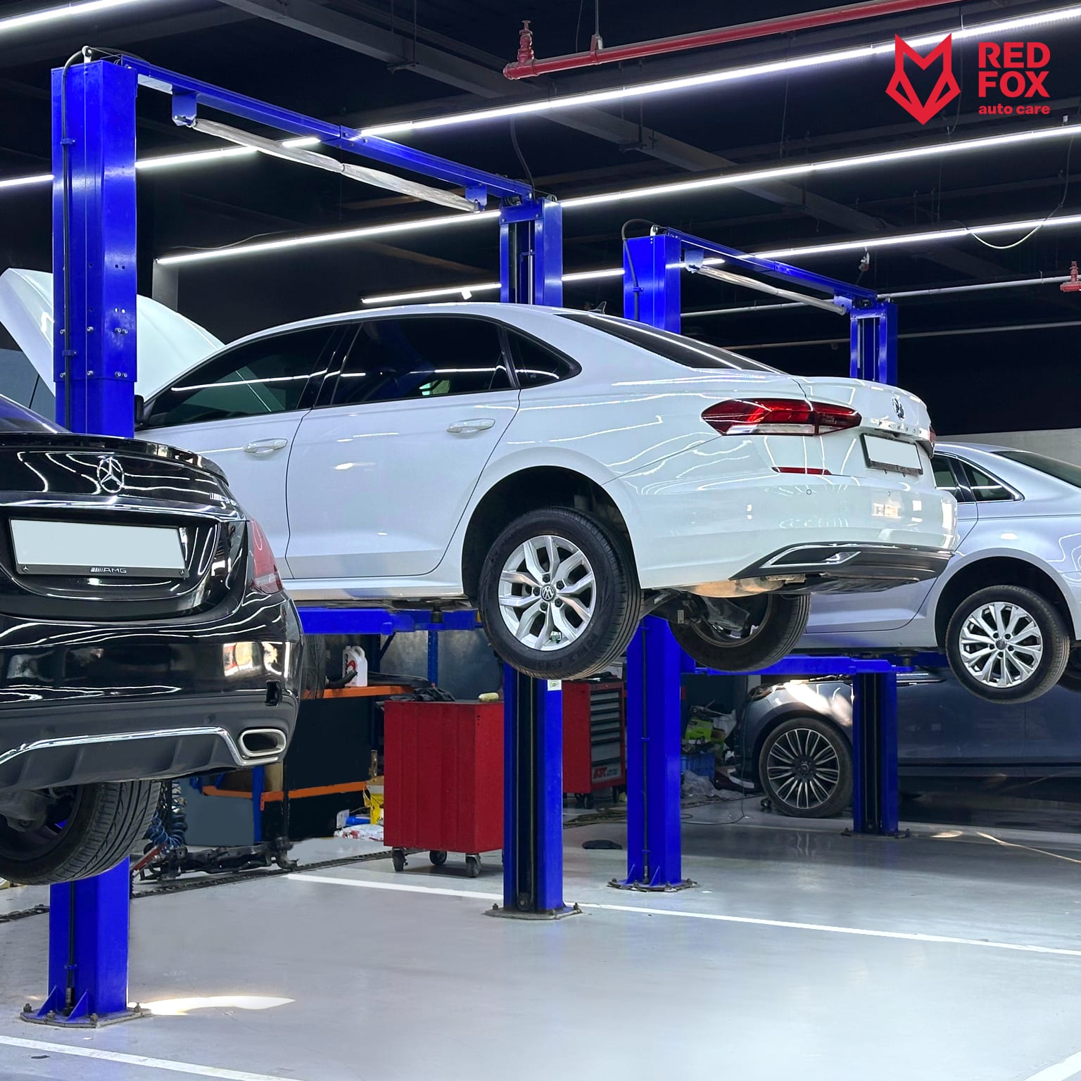 Red Fox Auto Care — Musaffah, Abu Dhabi — Car repair and maintenance service photo