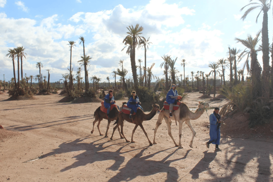 Quad Biking in Marrakech Palmeraie