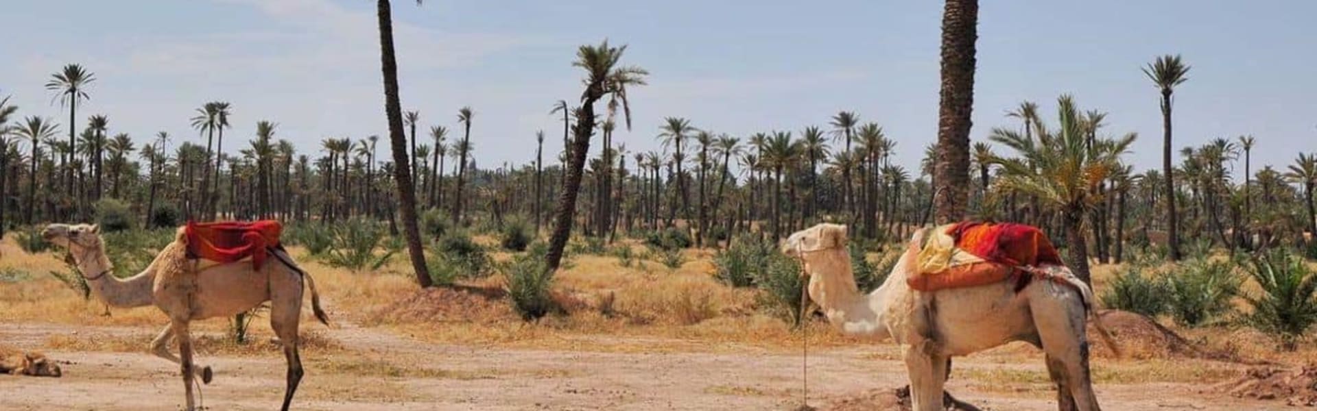 Experiences in Marrakech