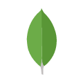 mongodb Tech Stack
