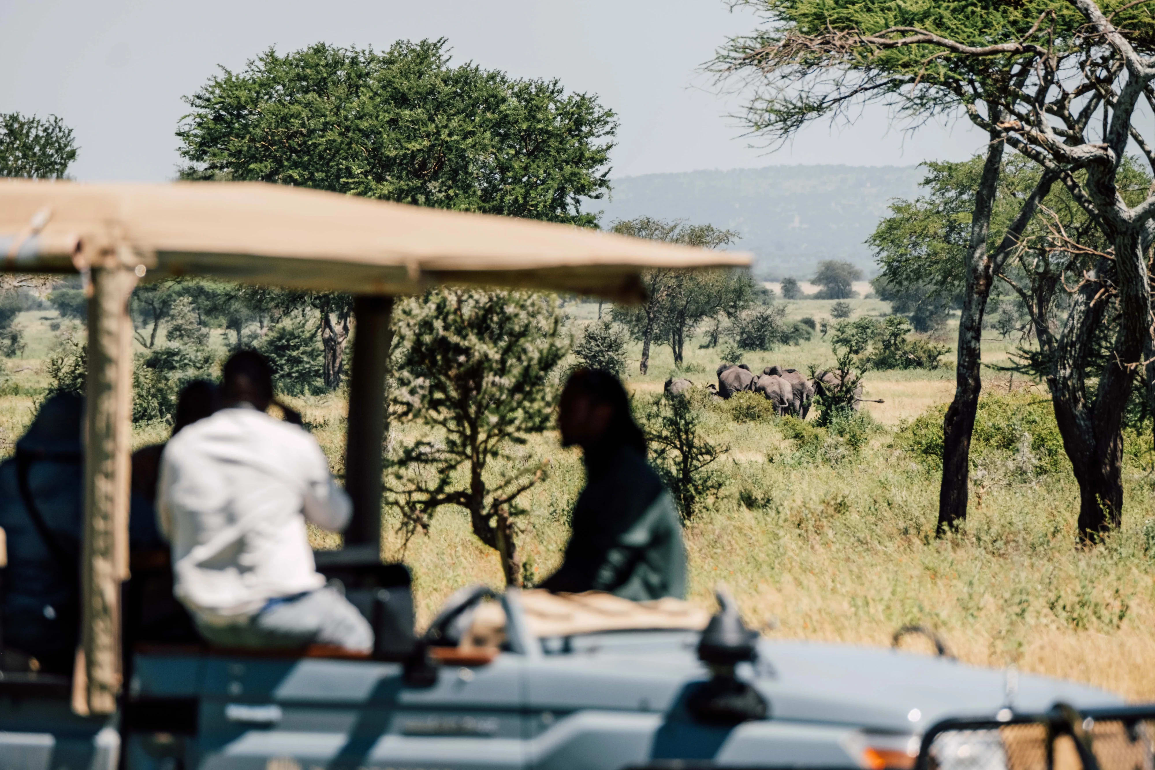 Guide Training – Serengeti - 23