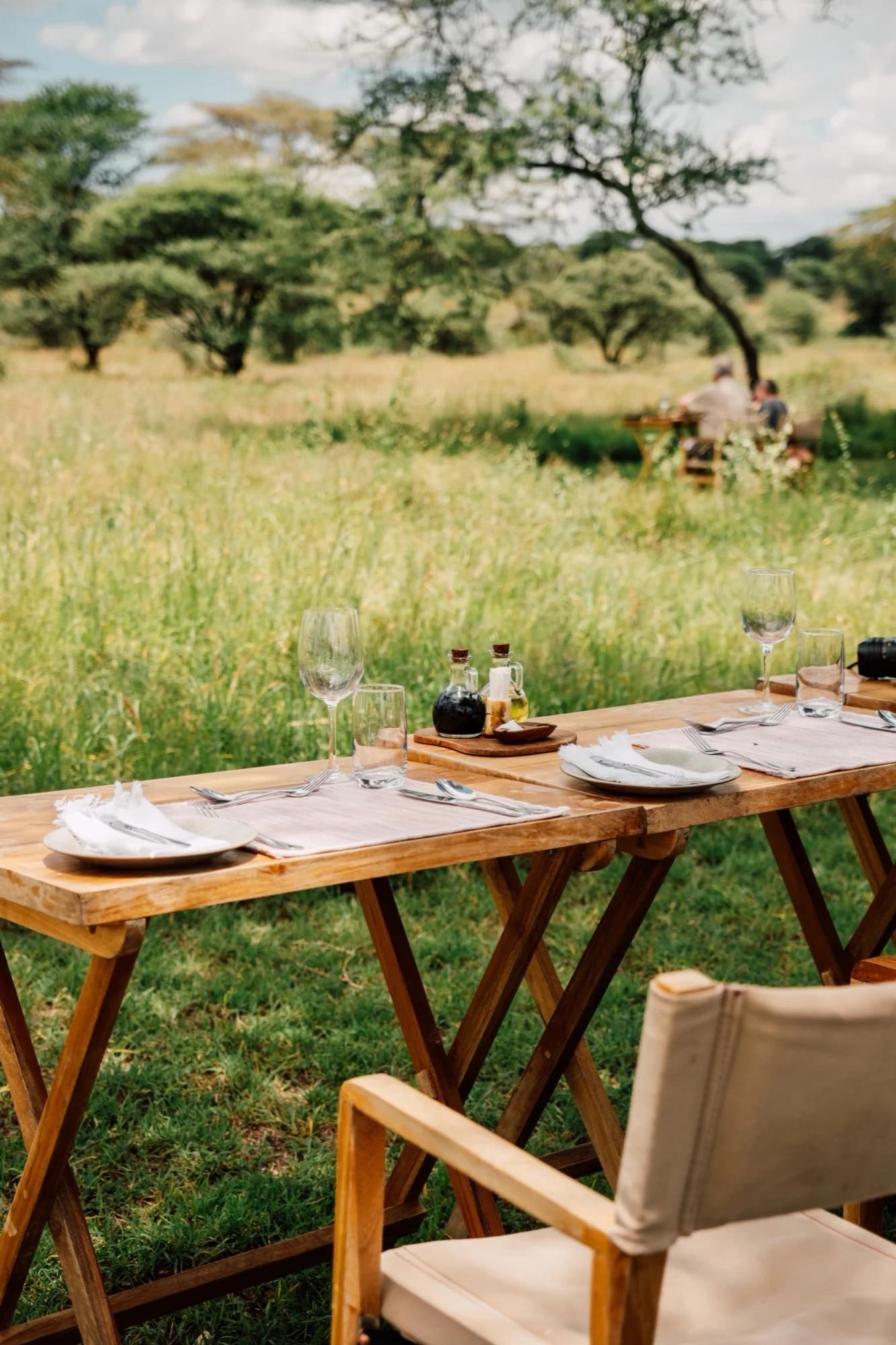 Before: A laid table in the savanna becomes dinner under acacias — with a giraffe in the background.
