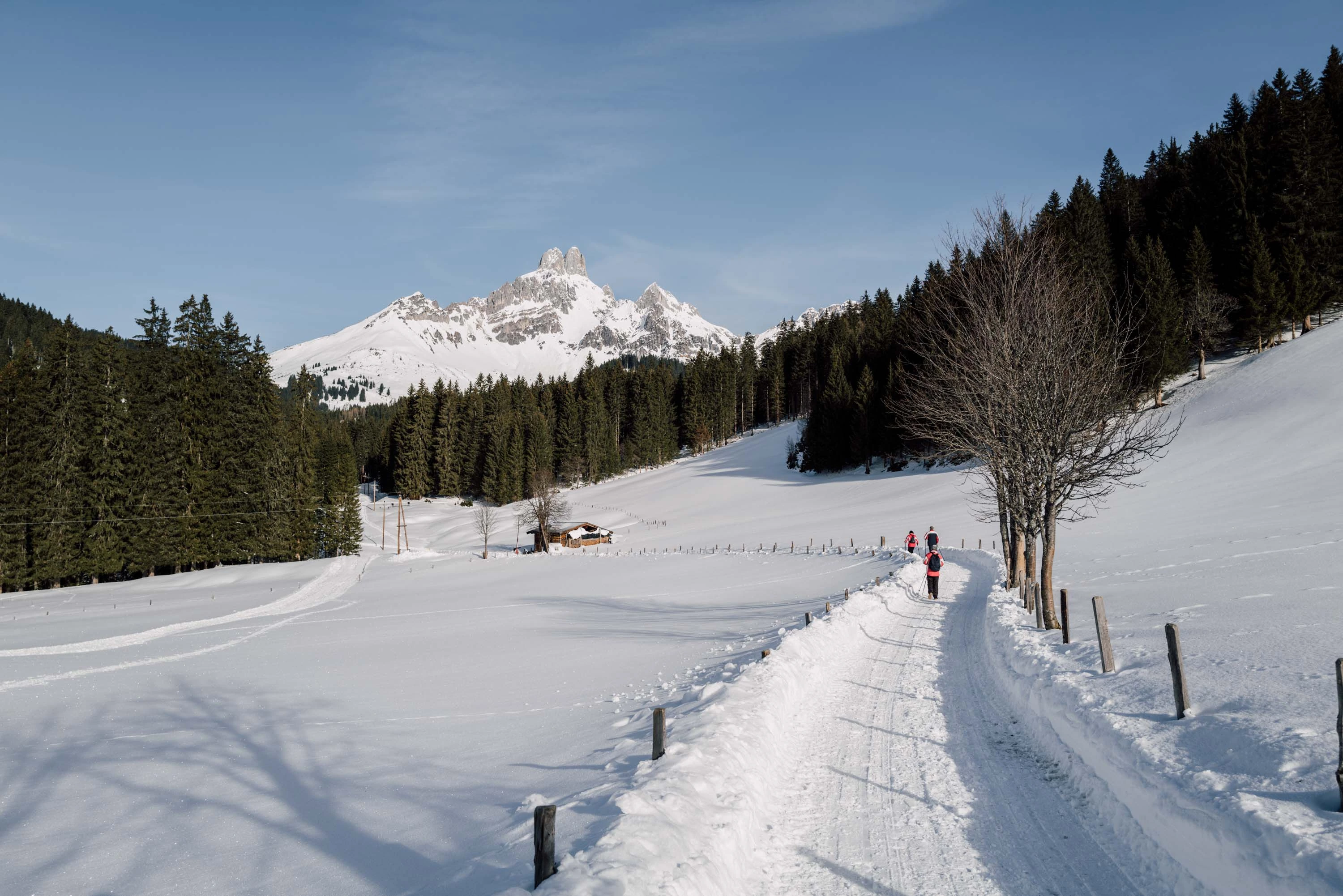 SalzburgerLand - Wintercontent gallery image 6