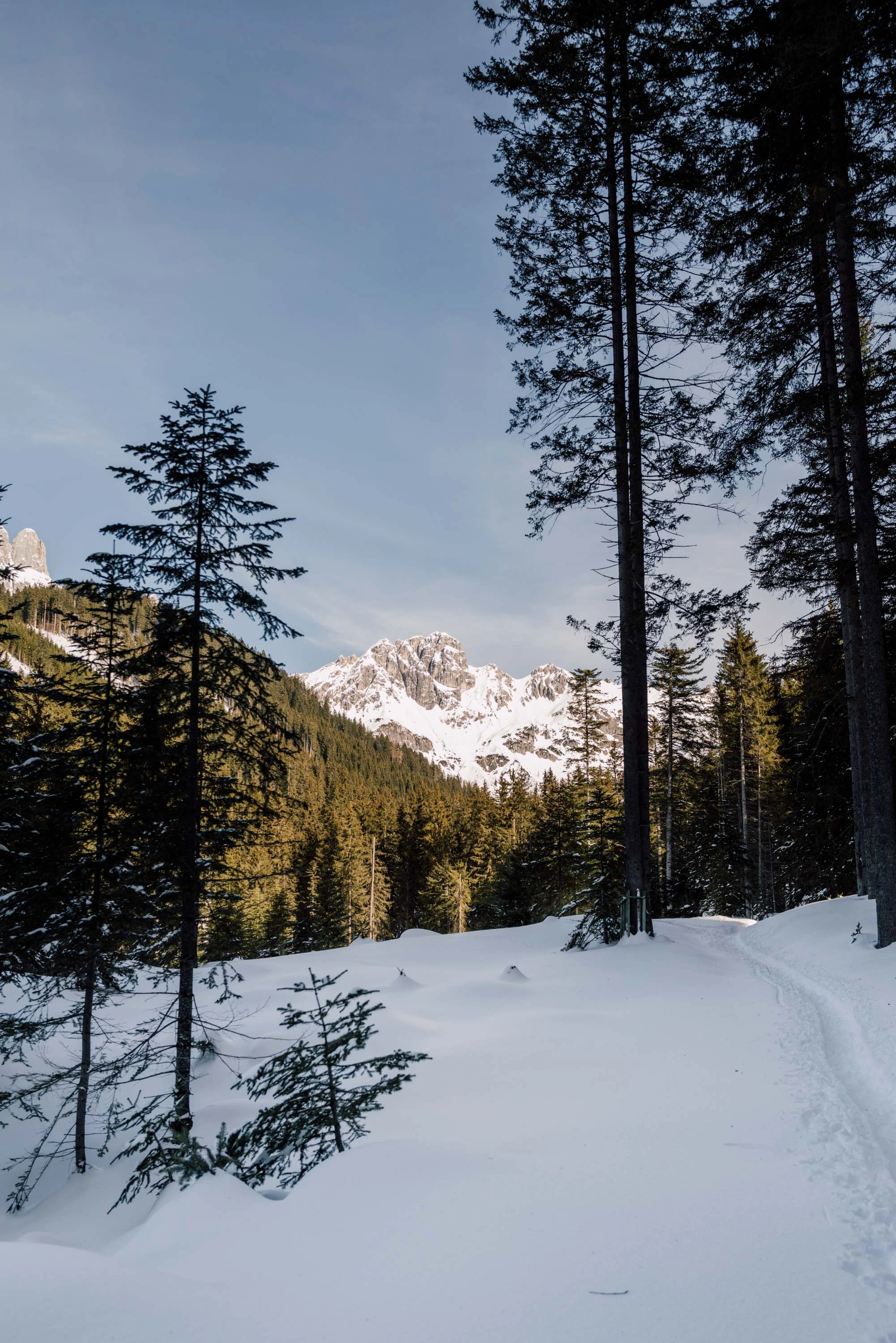 SalzburgerLand - Wintercontent gallery image 7
