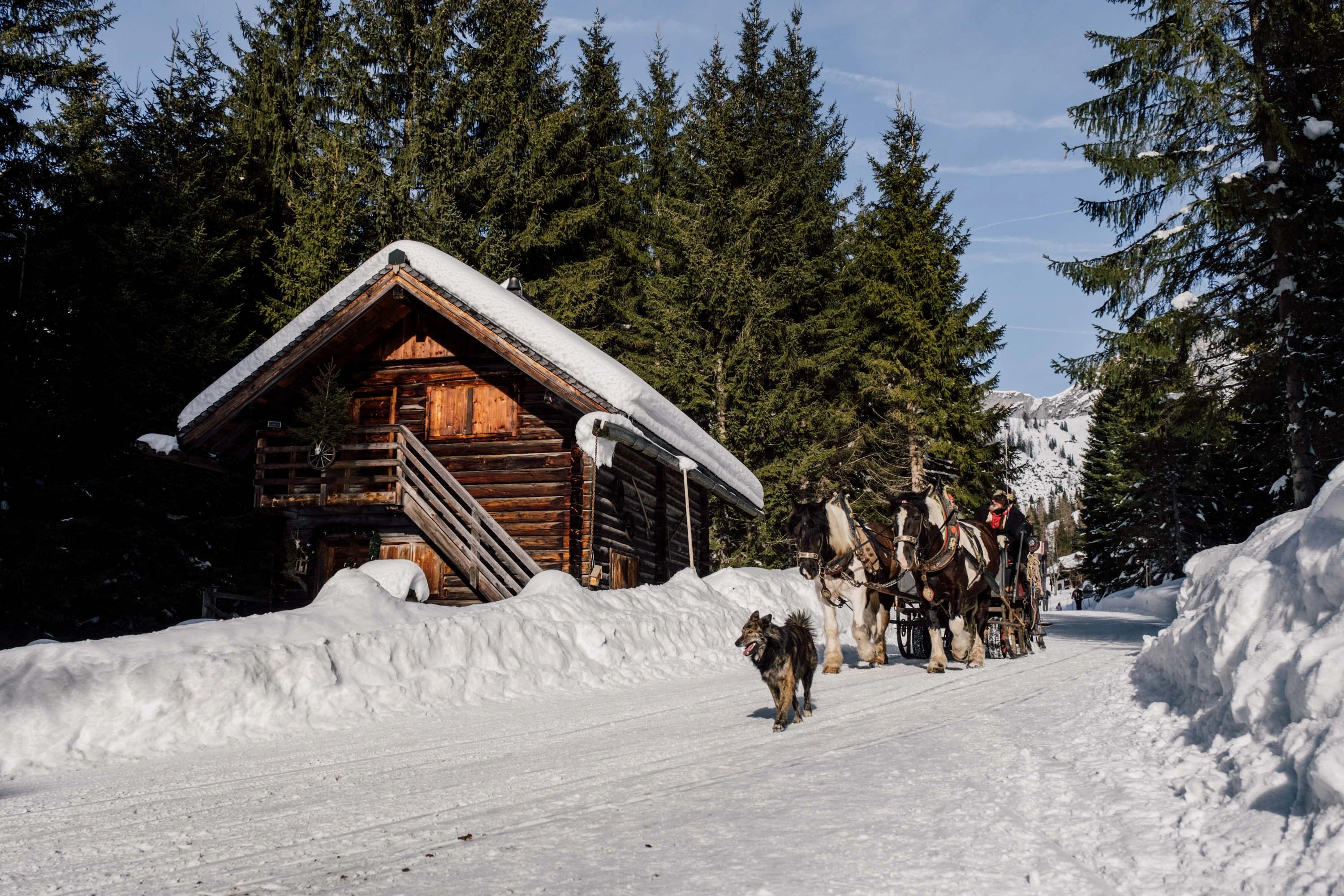 SalzburgerLand - Wintercontent gallery image 11