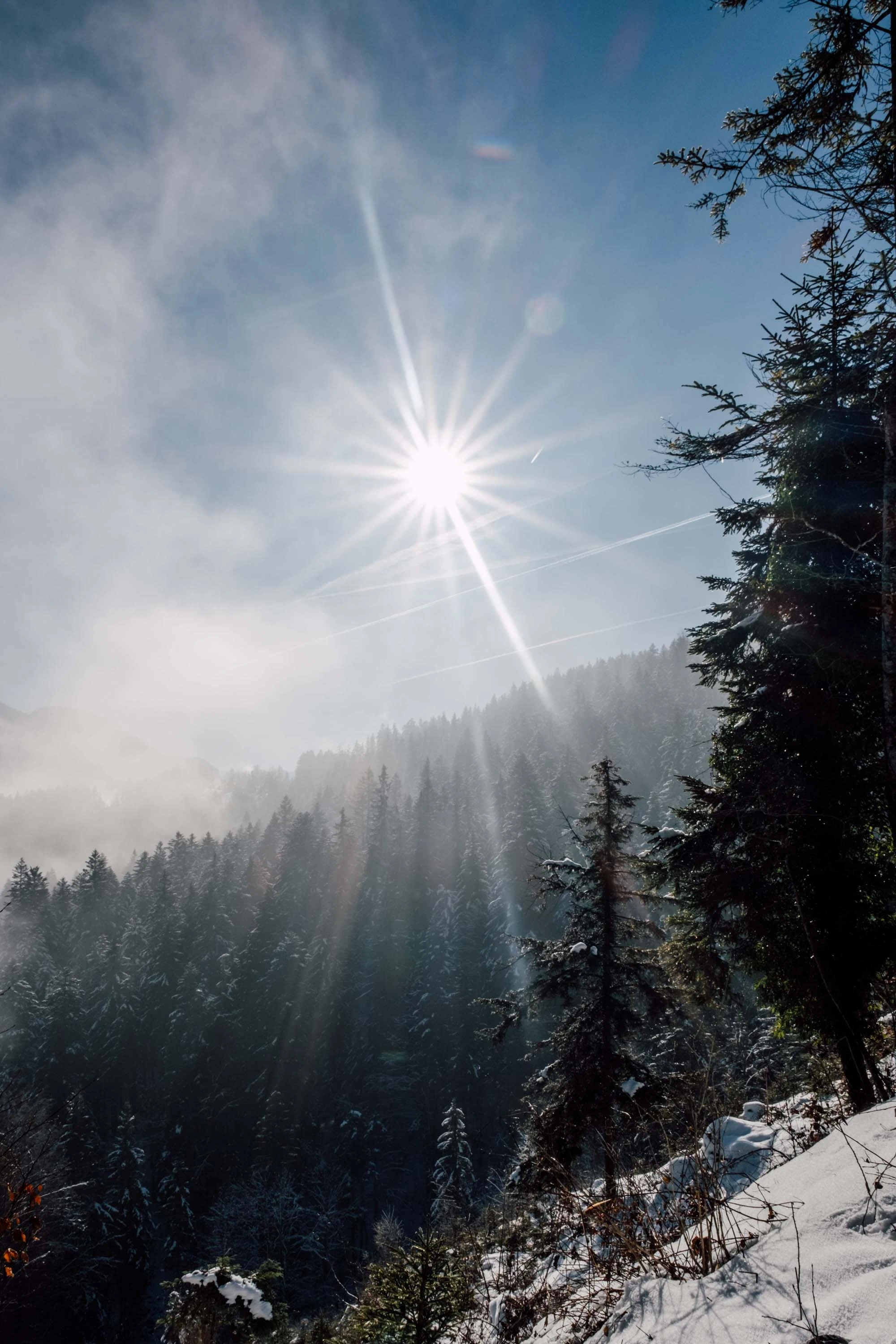 SalzburgerLand - Wintercontent gallery image 12