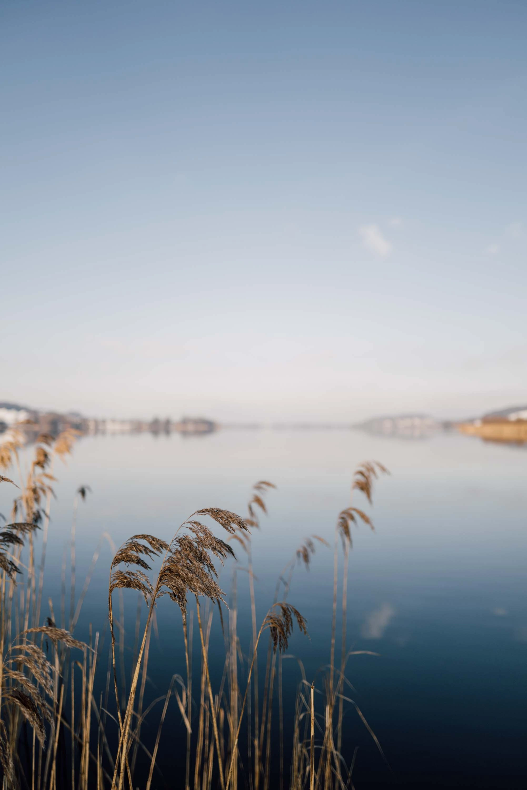 SalzburgerLand - Wintercontent gallery image 21
