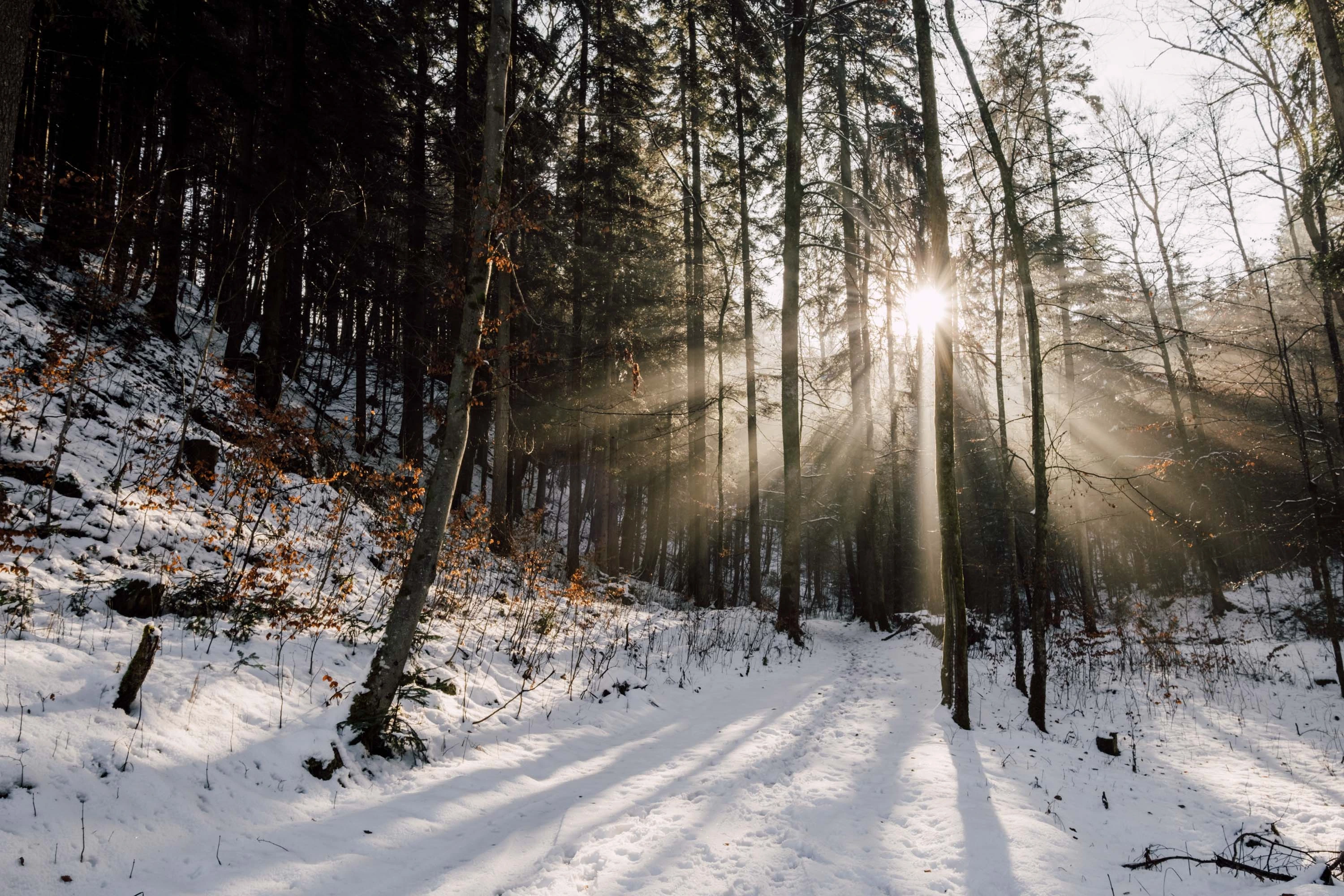 SalzburgerLand - Wintercontent gallery image 24