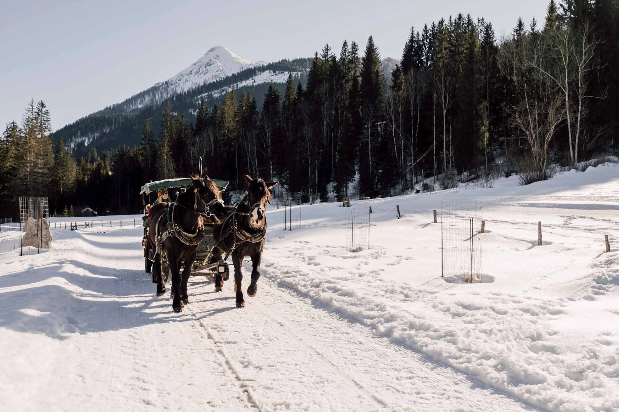 Salzburger Land - Blogger Event gallery image 19