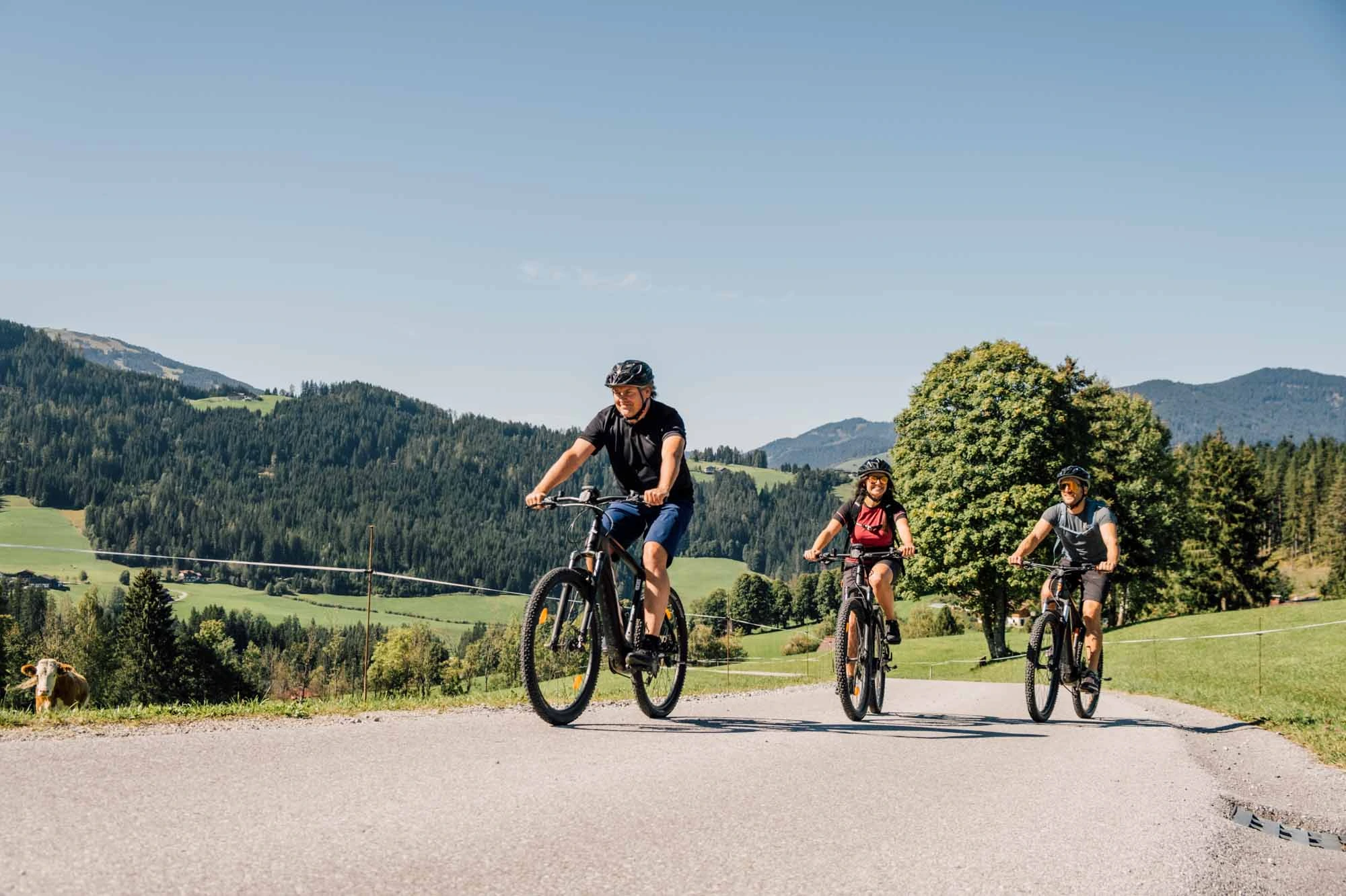 Salzburger Land - Genussradeln gallery image 3