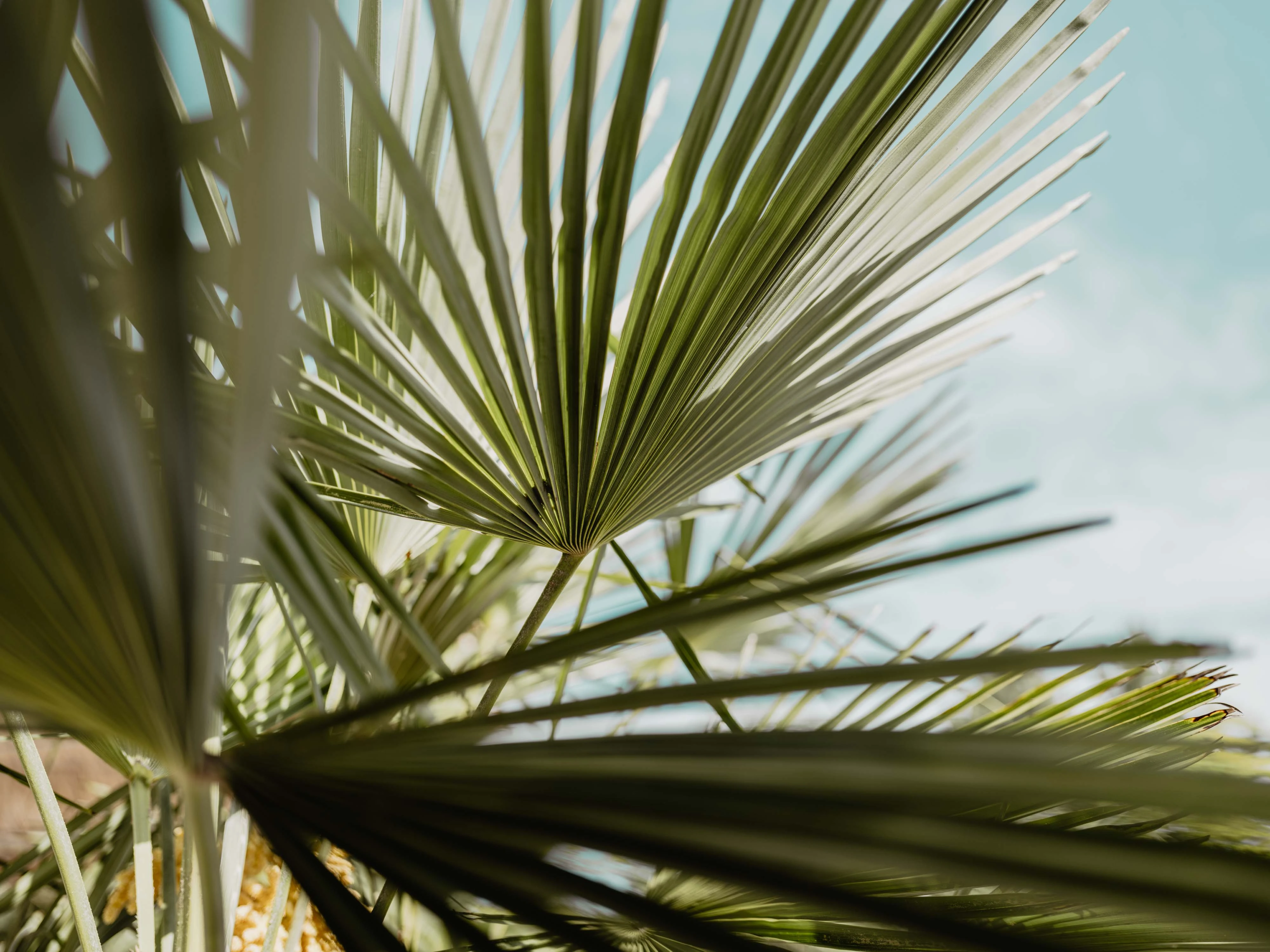Therme Geinberg Sommerkampagne '22 gallery image 18
