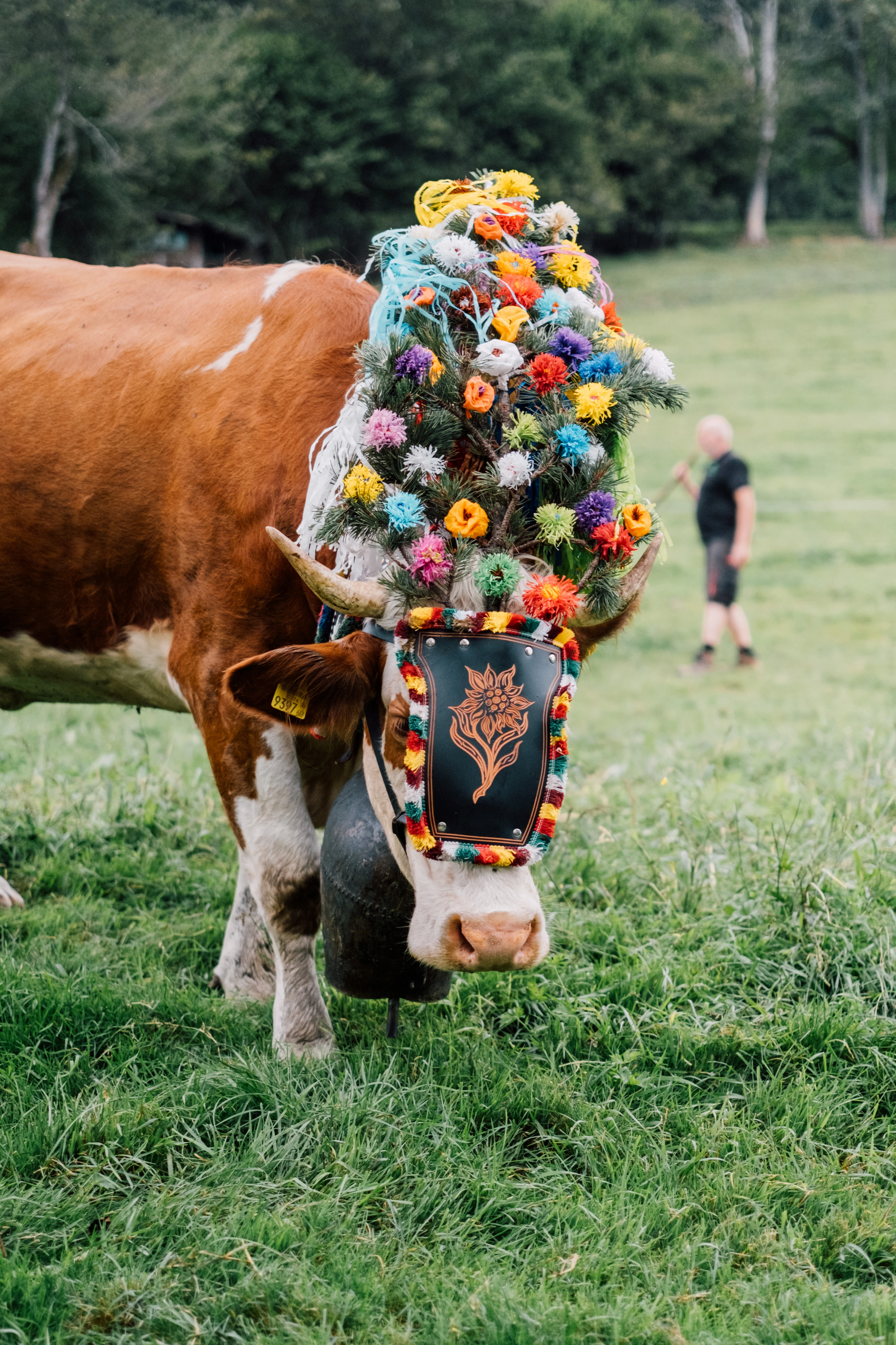 Stanglwirt Almabtrieb 2024 gallery image 1