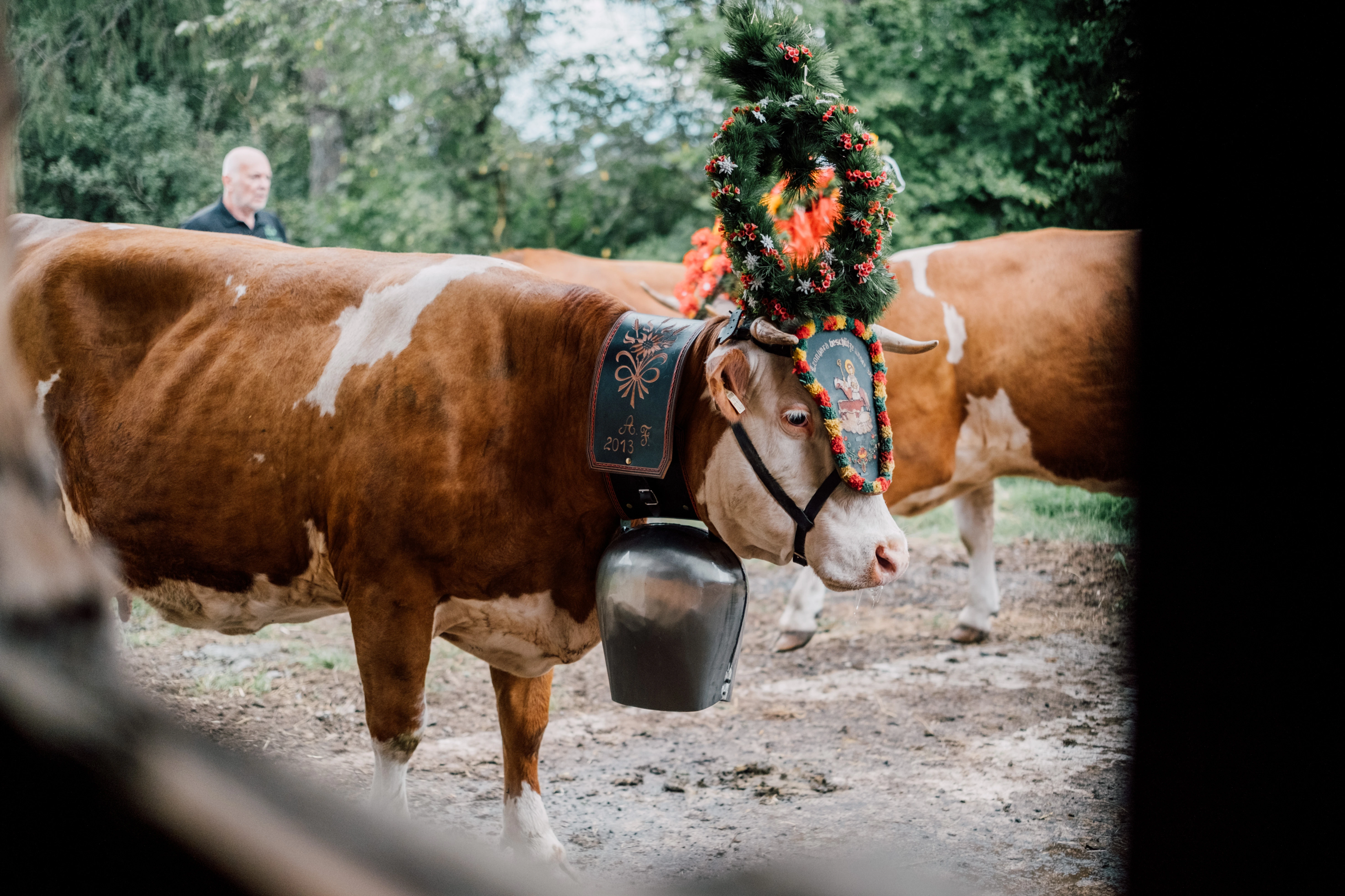 Stanglwirt Almabtrieb 2024 gallery image 2