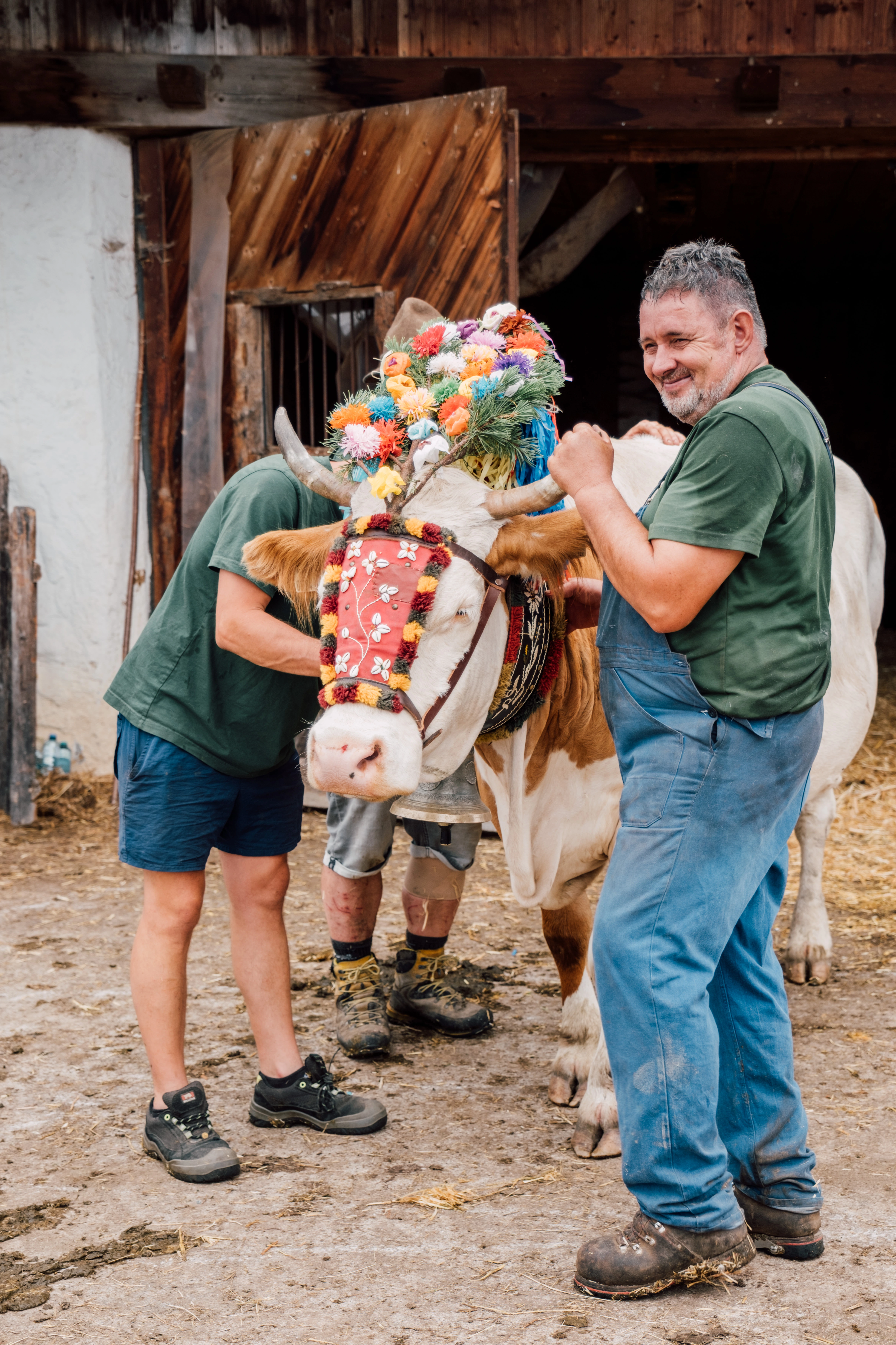 Stanglwirt Almabtrieb 2024 gallery image 3