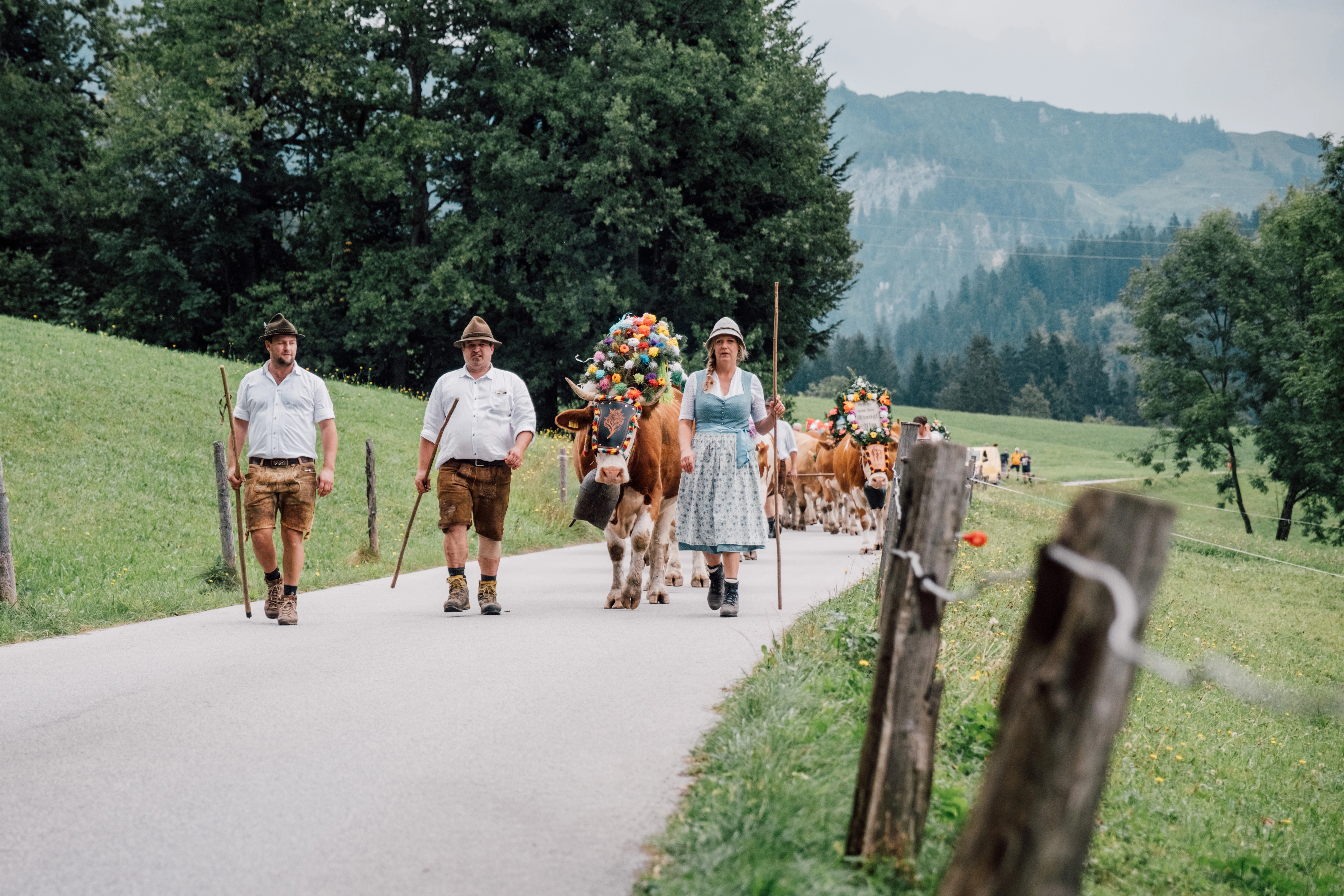 Stanglwirt Almabtrieb 2024 gallery image 7