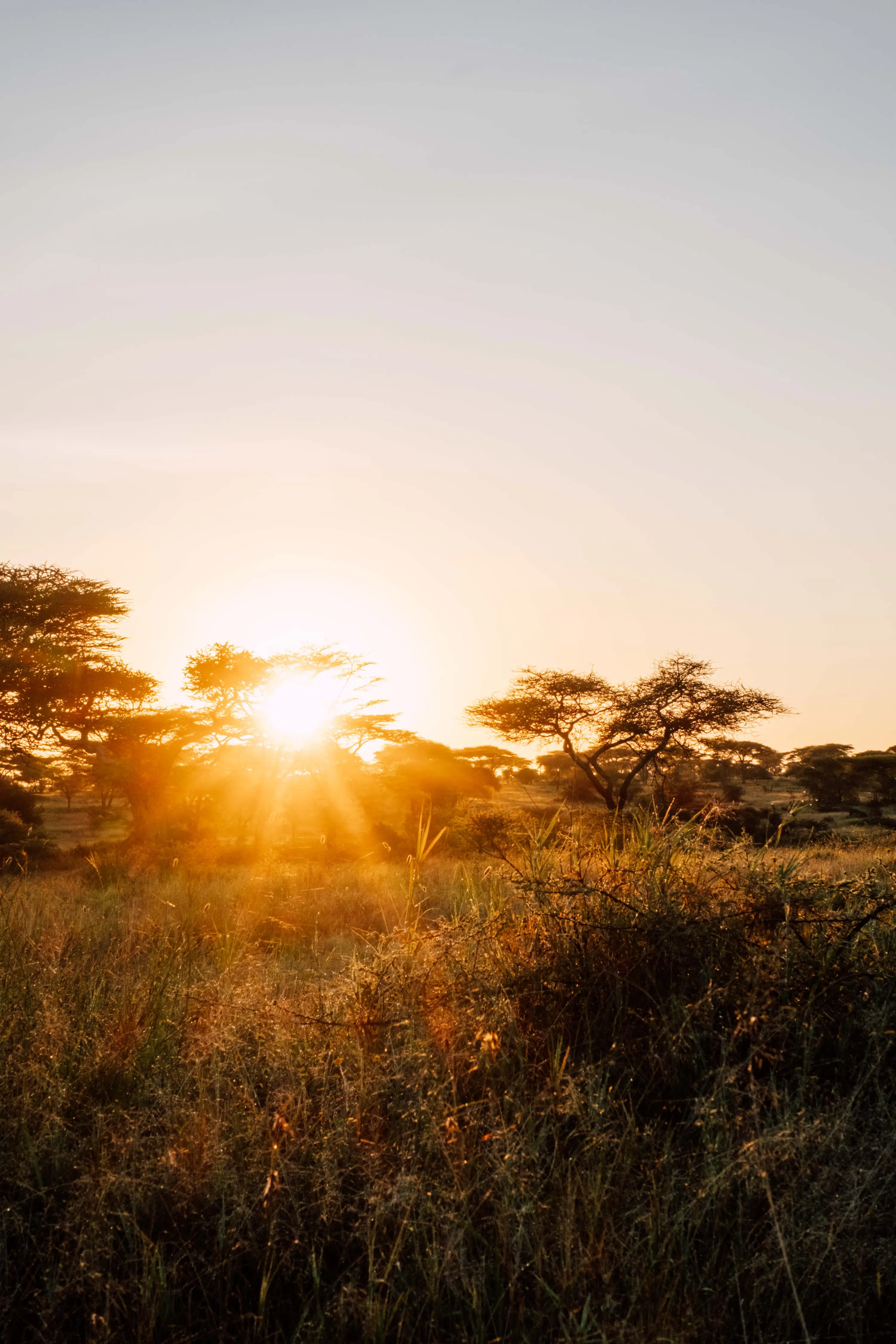 Guide Training – Serengeti - 17