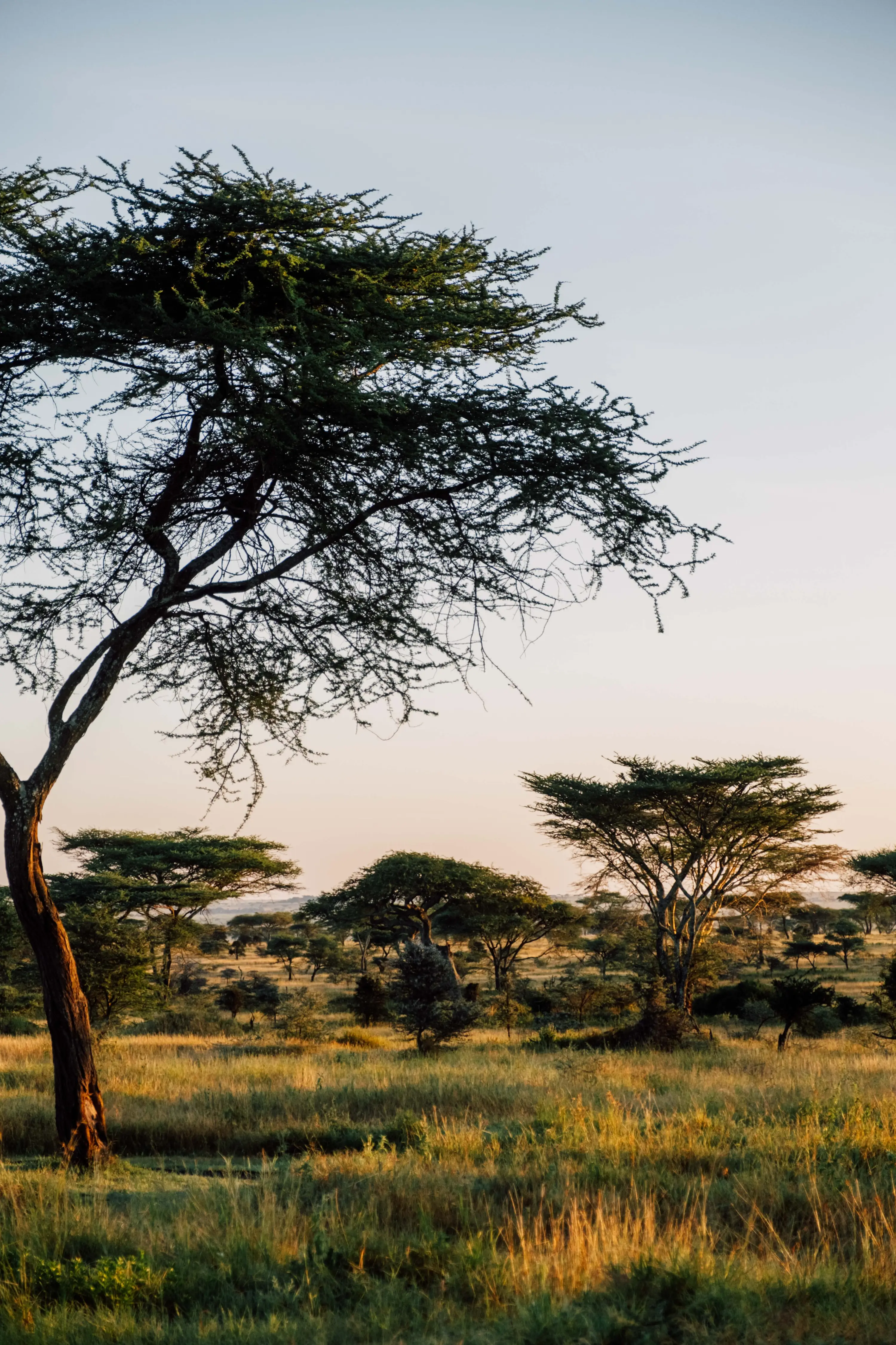 Guide Training – Serengeti - 18