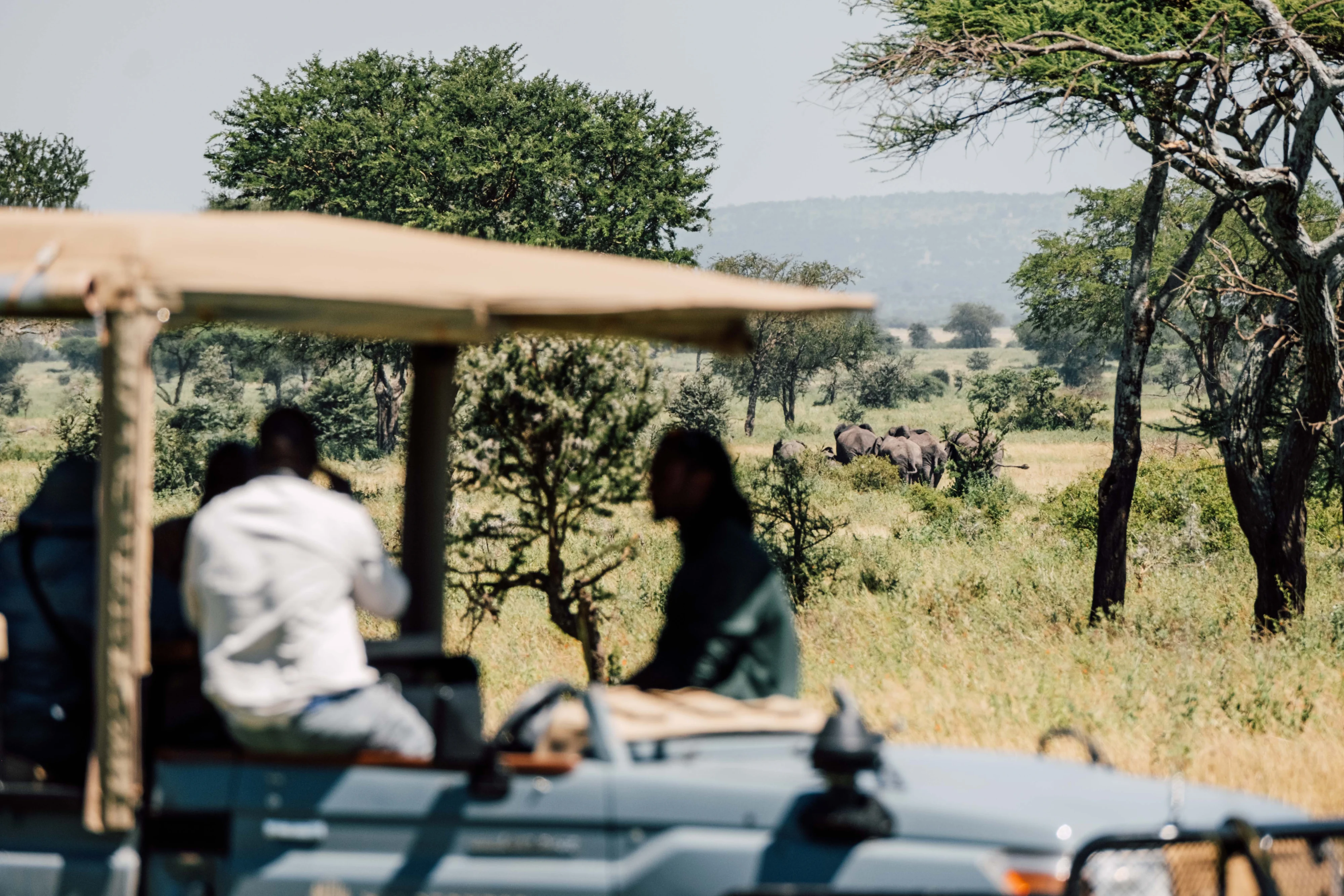 Guide Training – Serengeti - 23