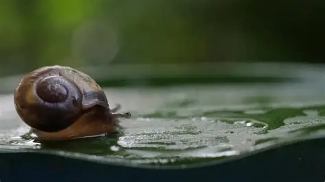 What Learning a New Skill Taught Me About Patience