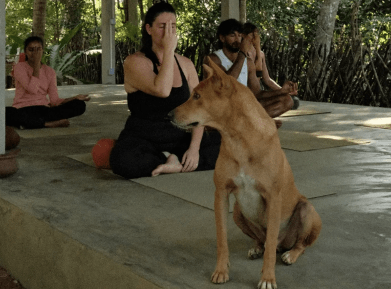 Yoga Nidra - Event in Hiriketiya