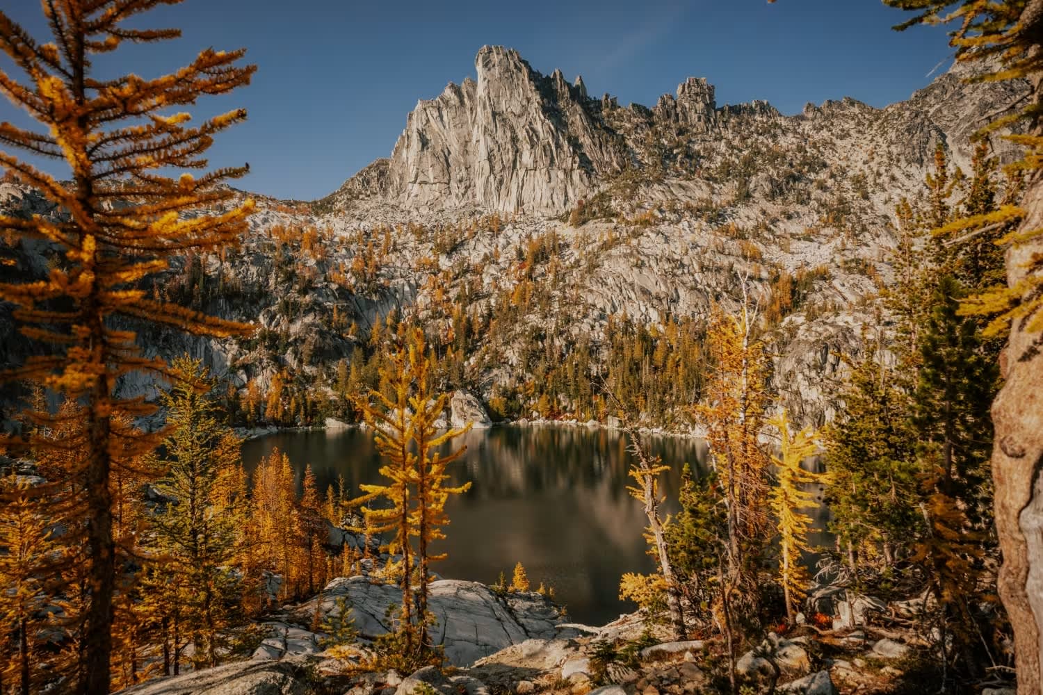 LOGE Camps - The hotel that gets you outdoors