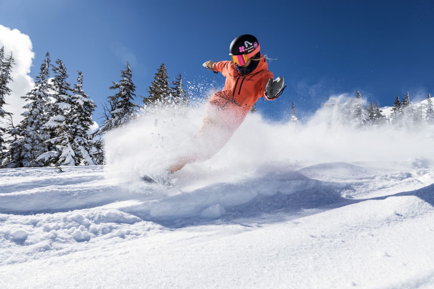 Ski Season Passholder Discount