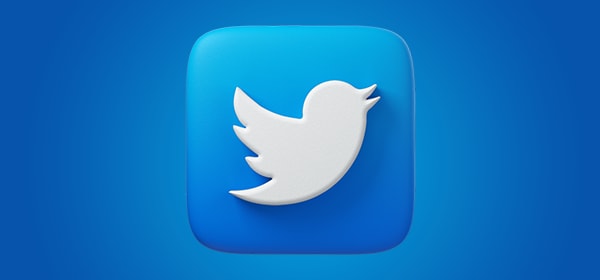 TWITTER PVA ACCOUNTS