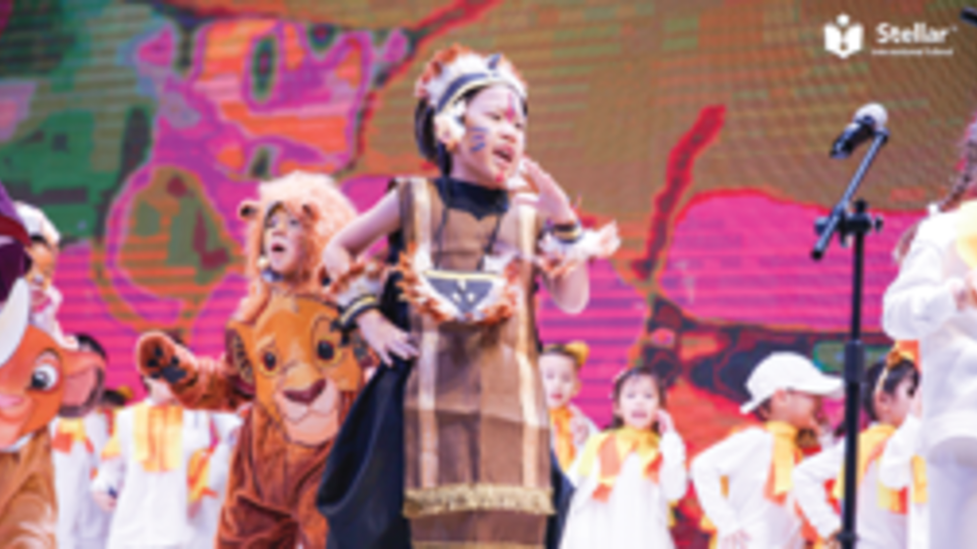 Stellar International School
