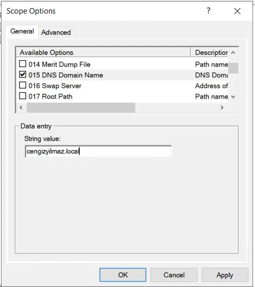DHCP Server DNS Server Name