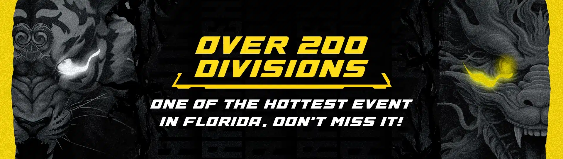 Over 200 Divisions