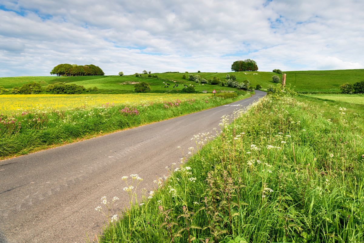 Eco-friendly road construction materials changing course of UK