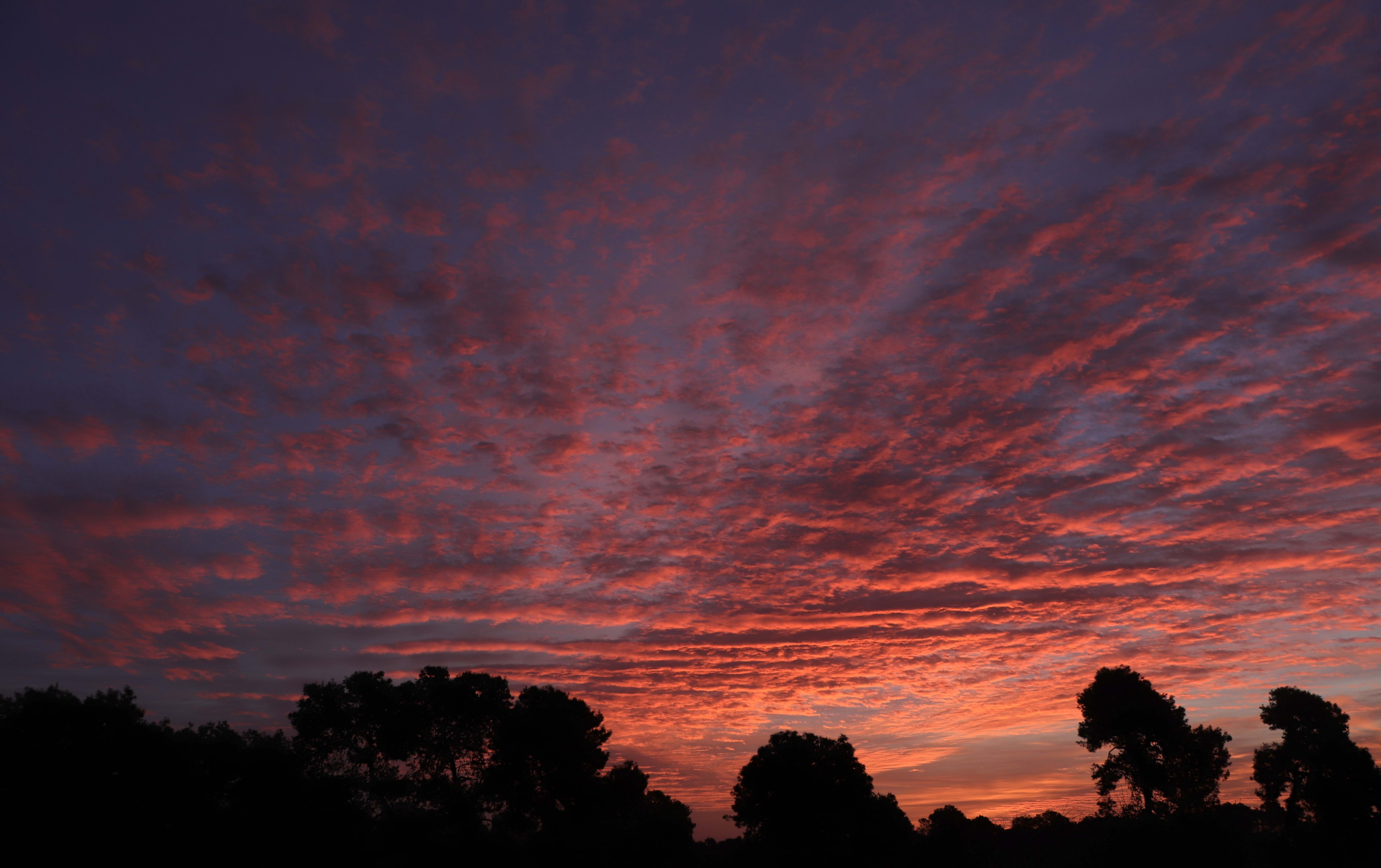 Sunrise by urcnaan in מועצה אזורית מנשה, ישראל