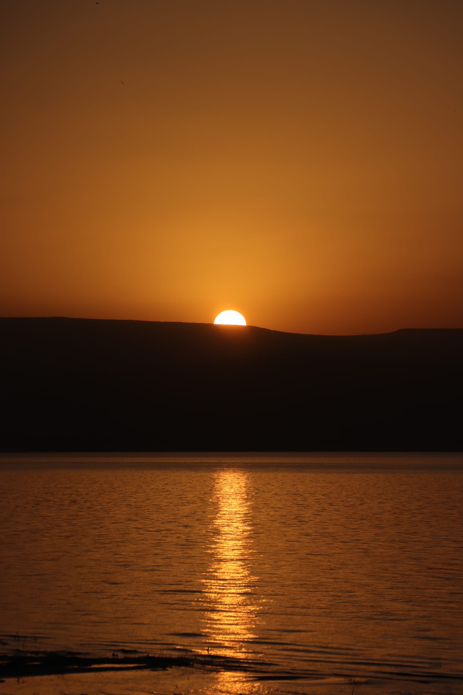 Sunset by urcnaan in ישראל