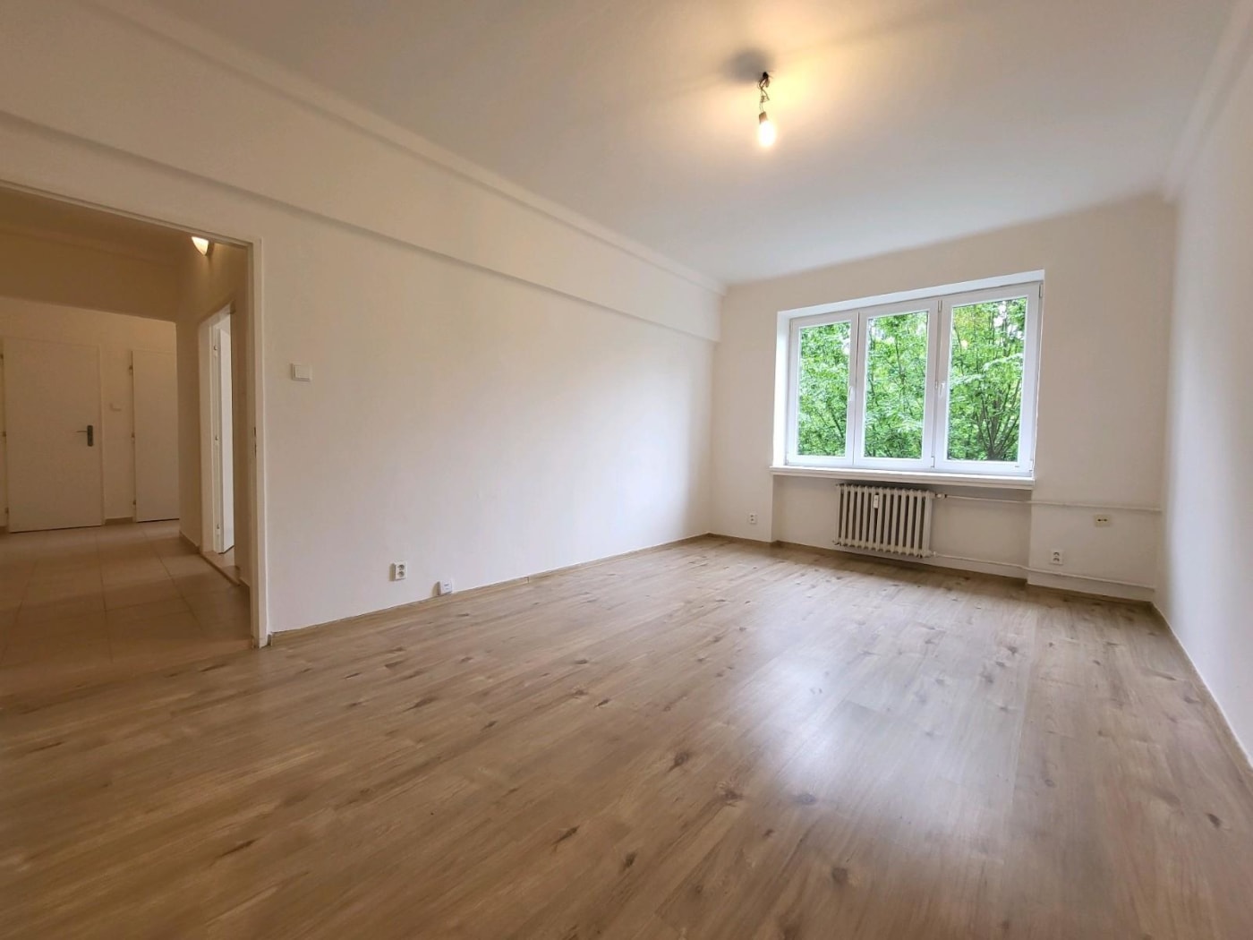 A spacious Bedsitter