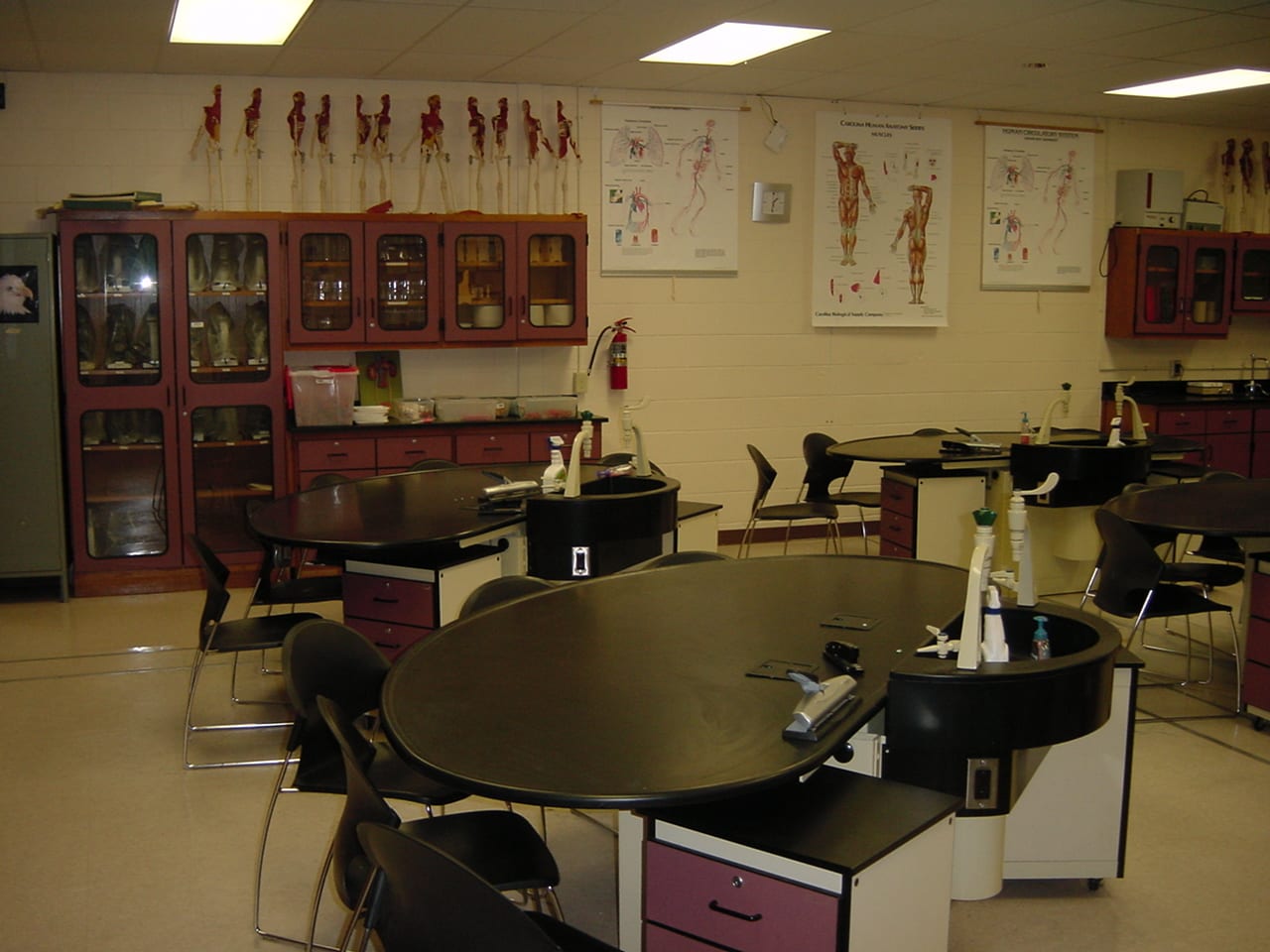 Eastern Camden County Regional High School - Image 4