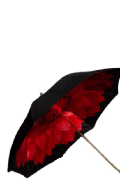 Double Cloth Floral Umbrella