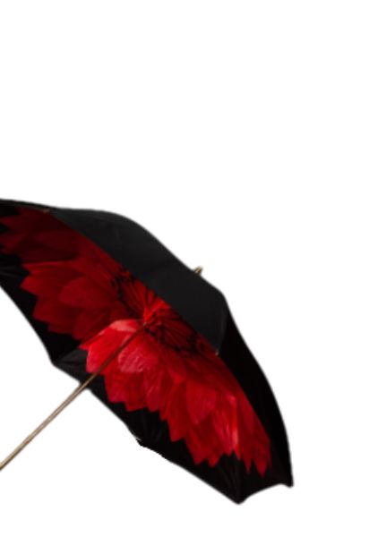 Double Cloth Floral Umbrella