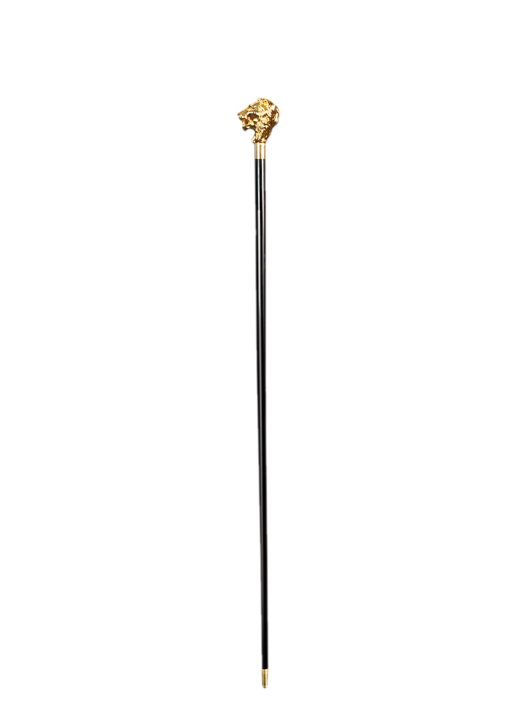 Golden Lion Cane