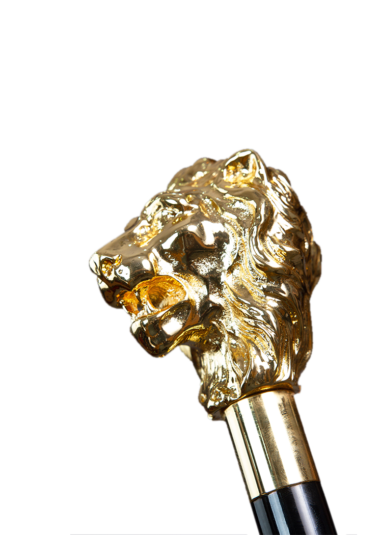 Golden Lion Cane