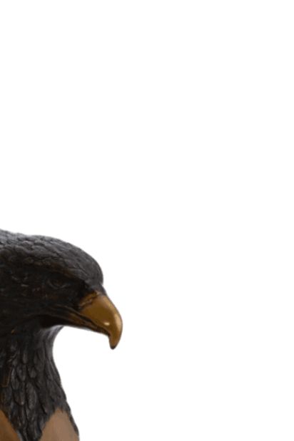 Wooden Eagle