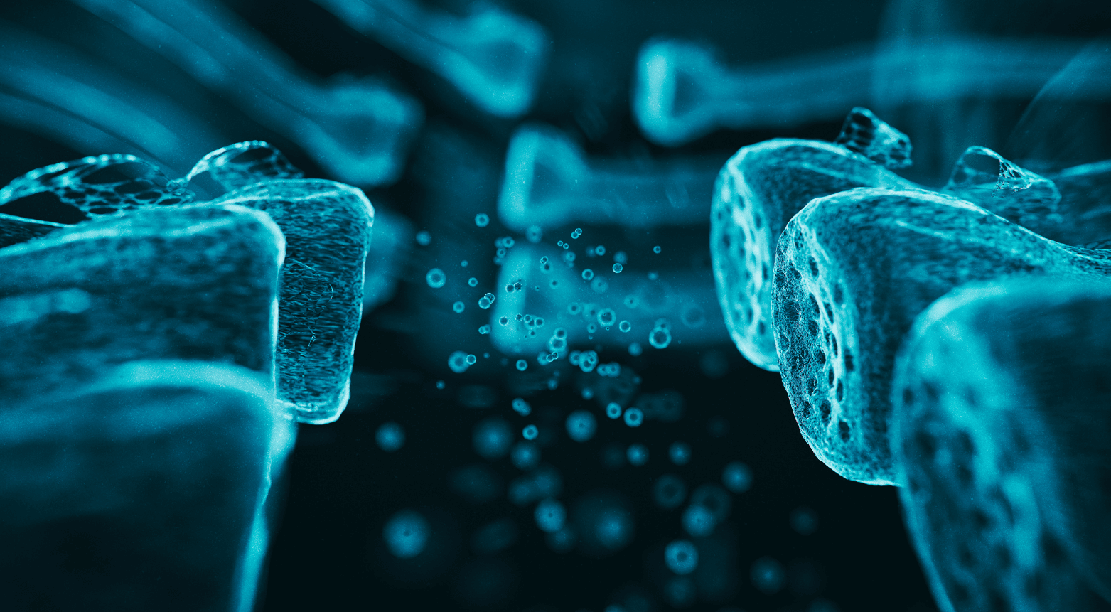 Metabolomics Studies
