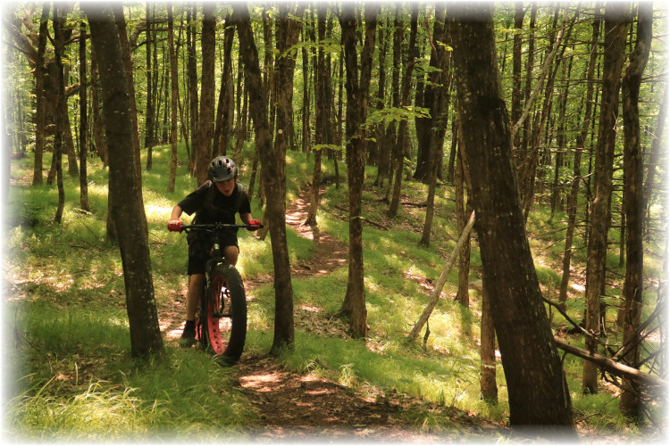 Singletracks