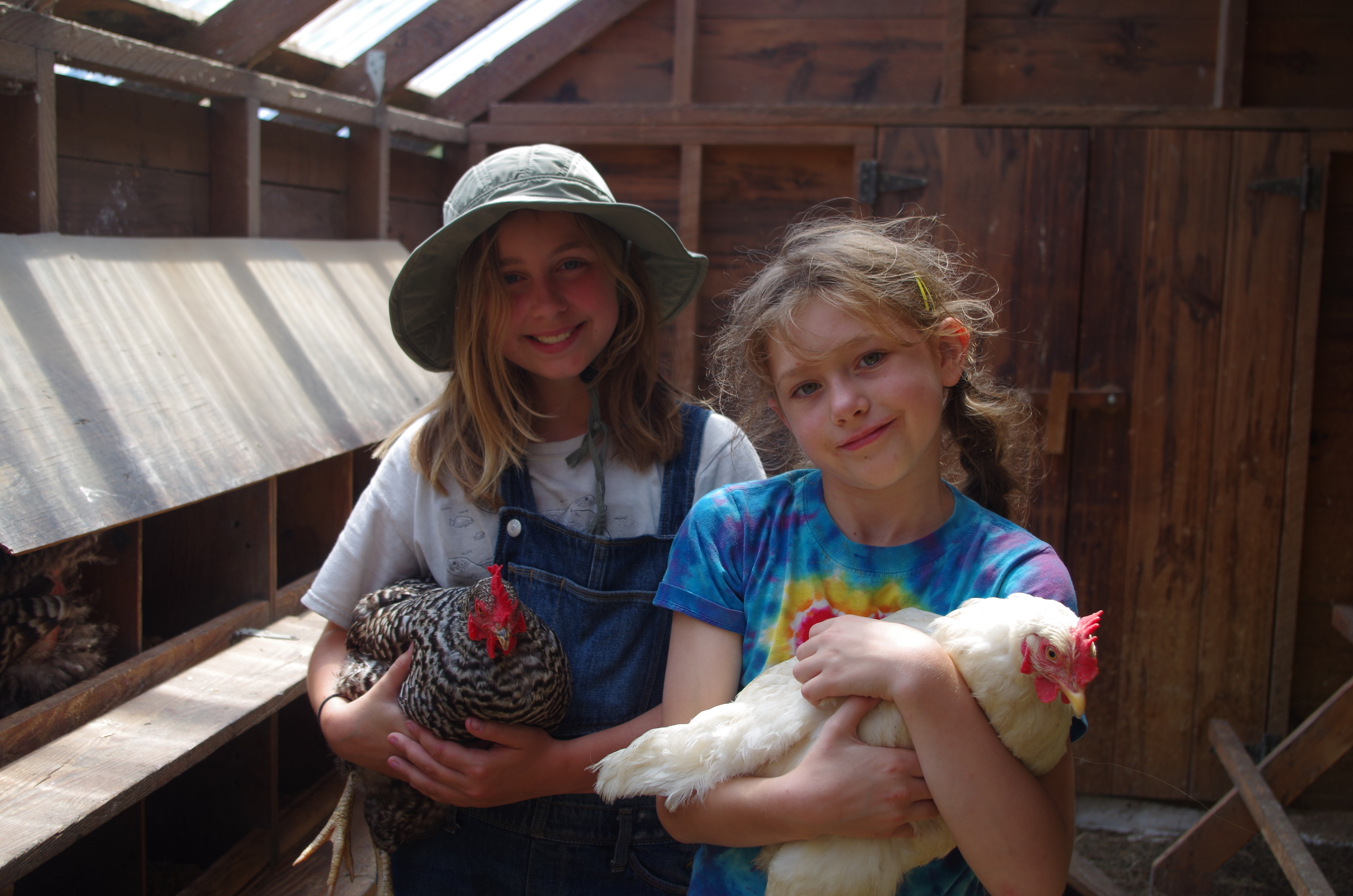 Farm Magic