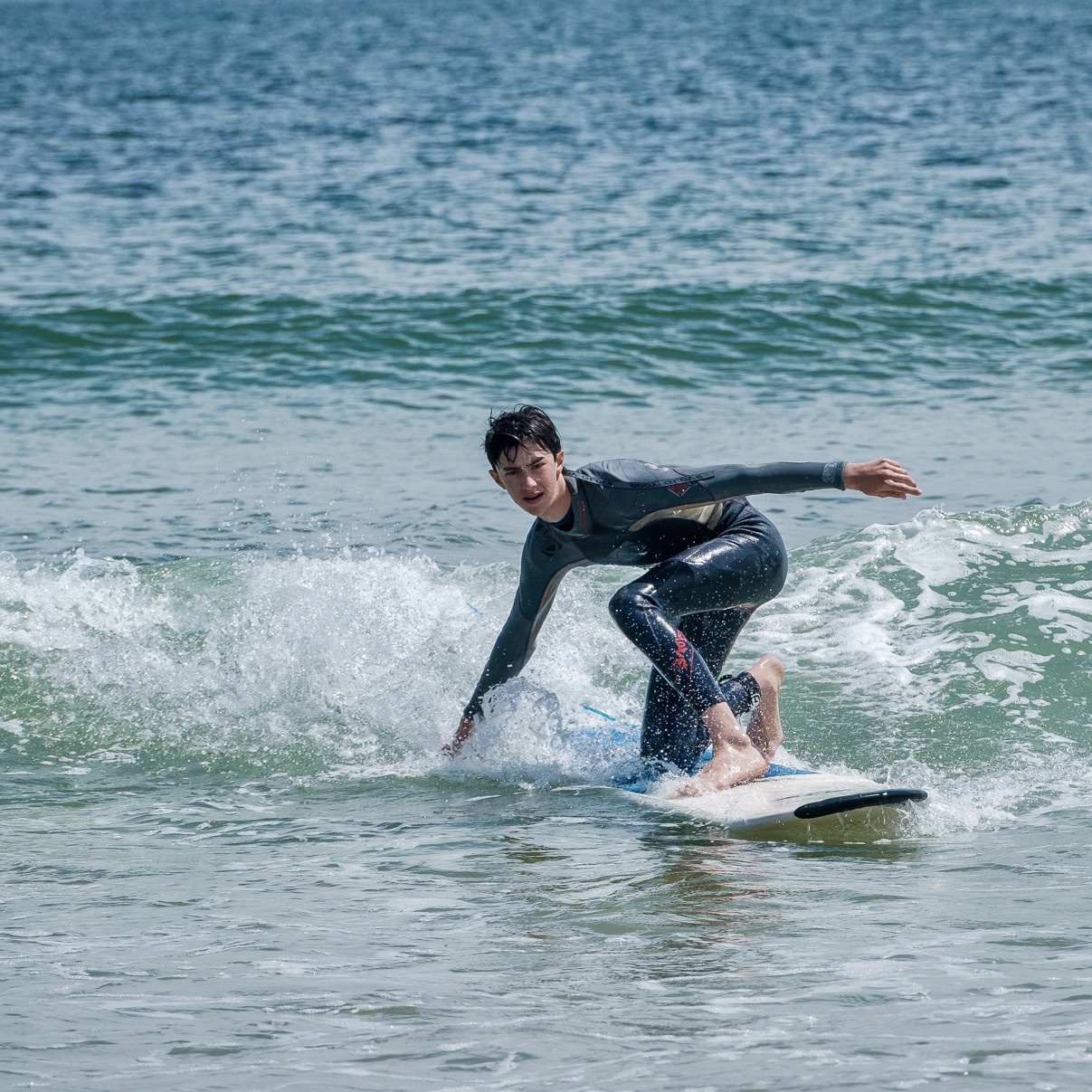 Cape Cod Ocean Bonanza