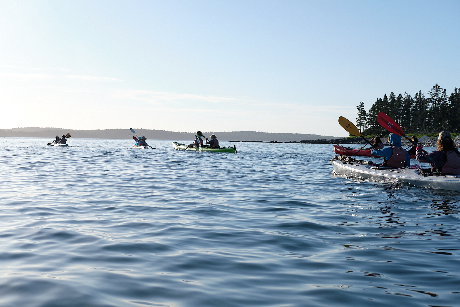Bold Coast Sea Kayaking Expedition