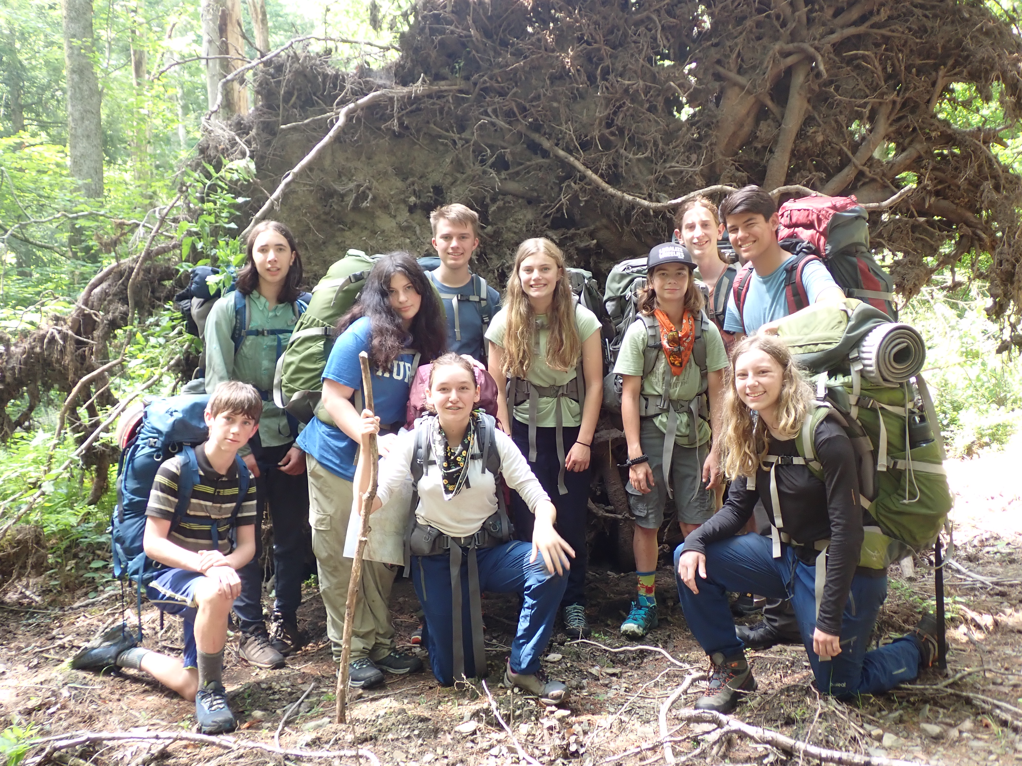 Wild Earth Wanderers 