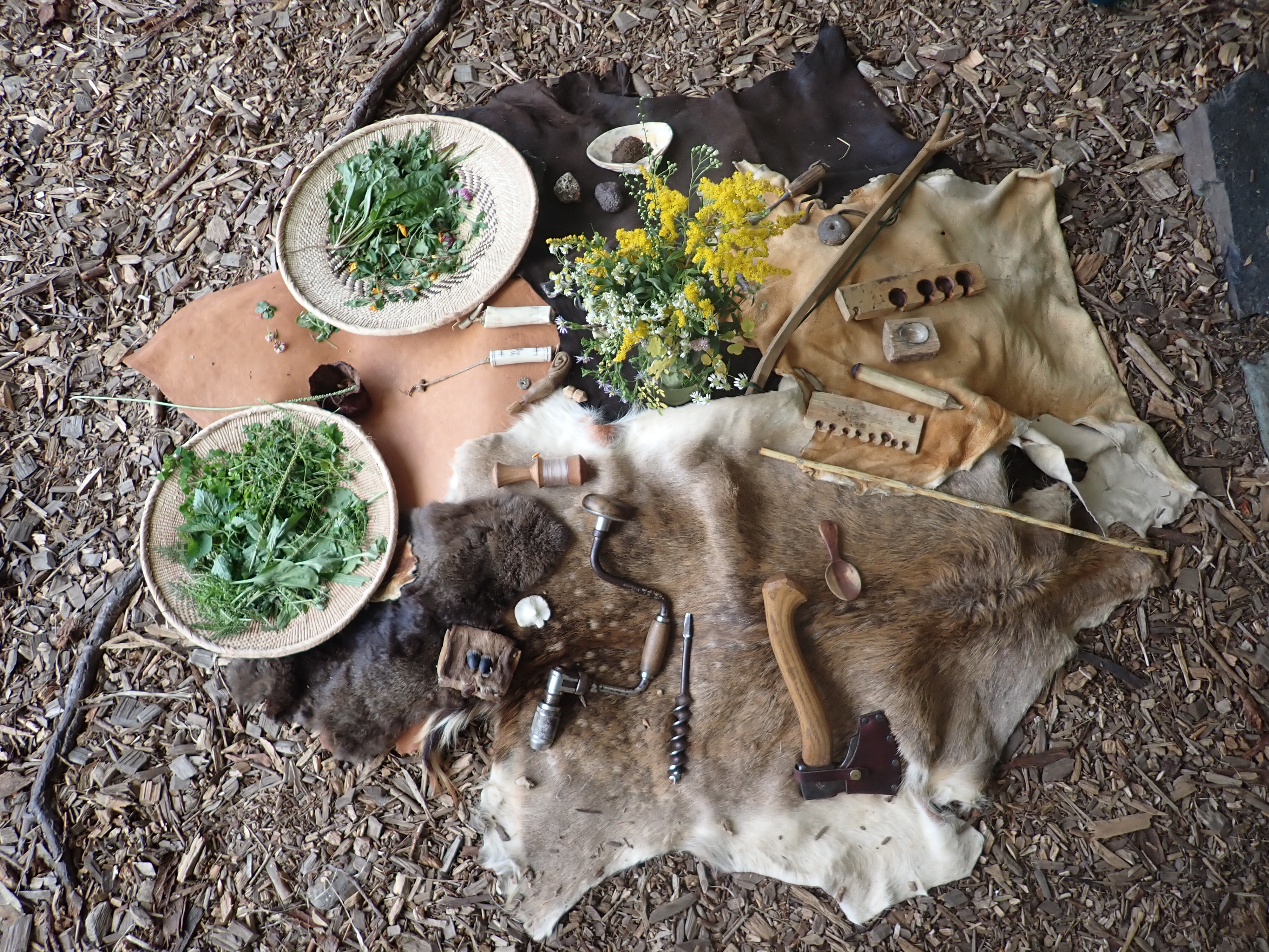Earth Crafts