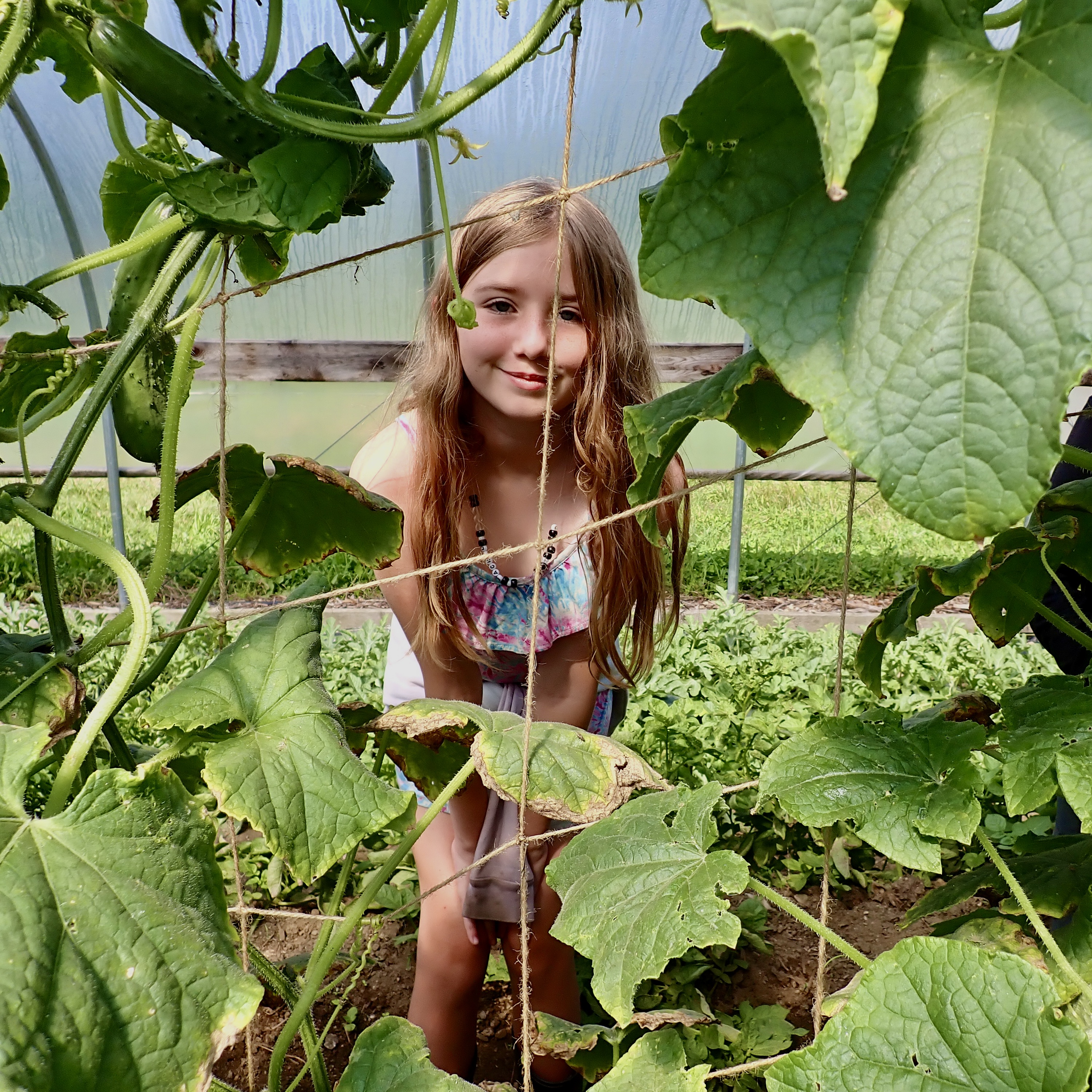 Farm Magic