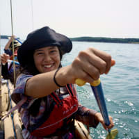 Treasure Island - Port